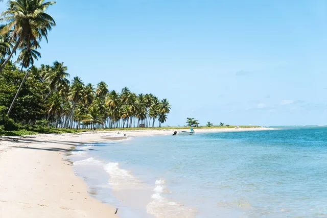 Tropical beach on a sunny day